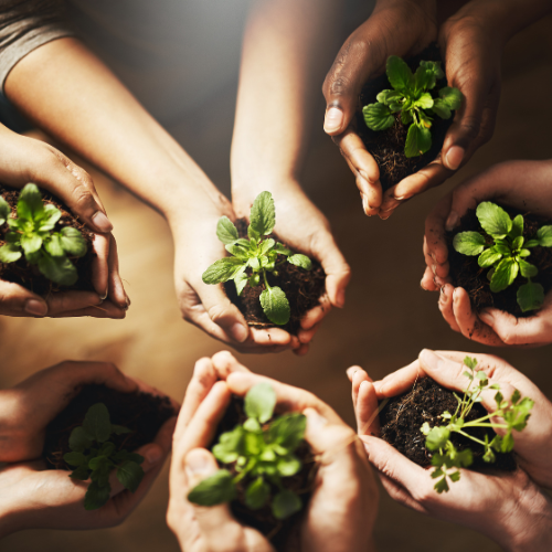 Sustentabilidade